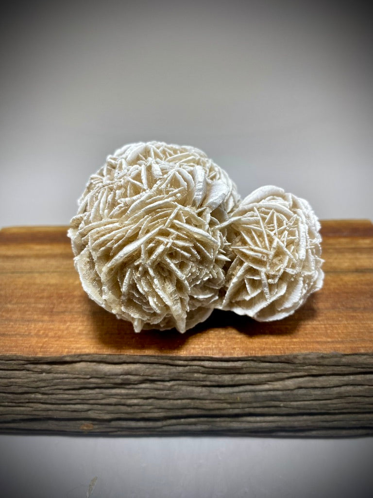 Desert Rose
