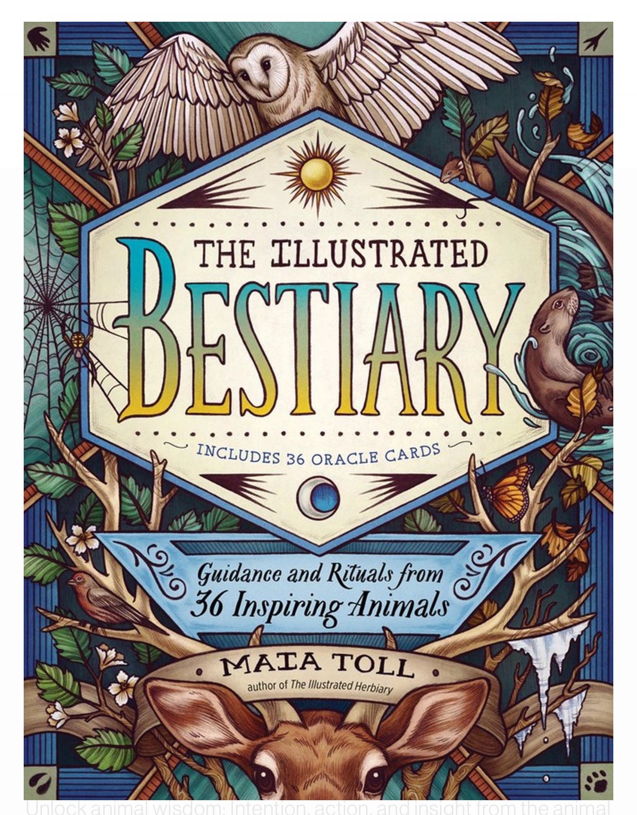 The Illustrated Bestiary - Maia Toll