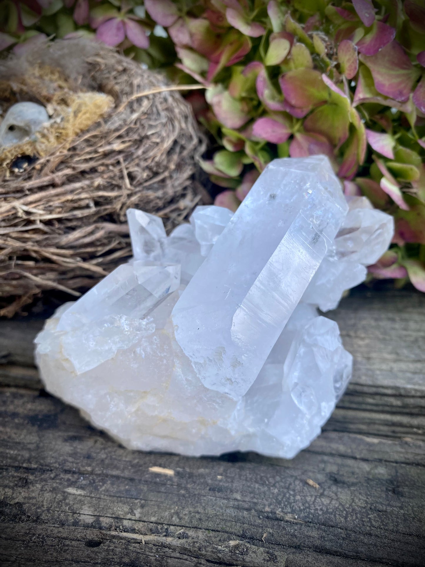 Columbian Quartz Cluster
