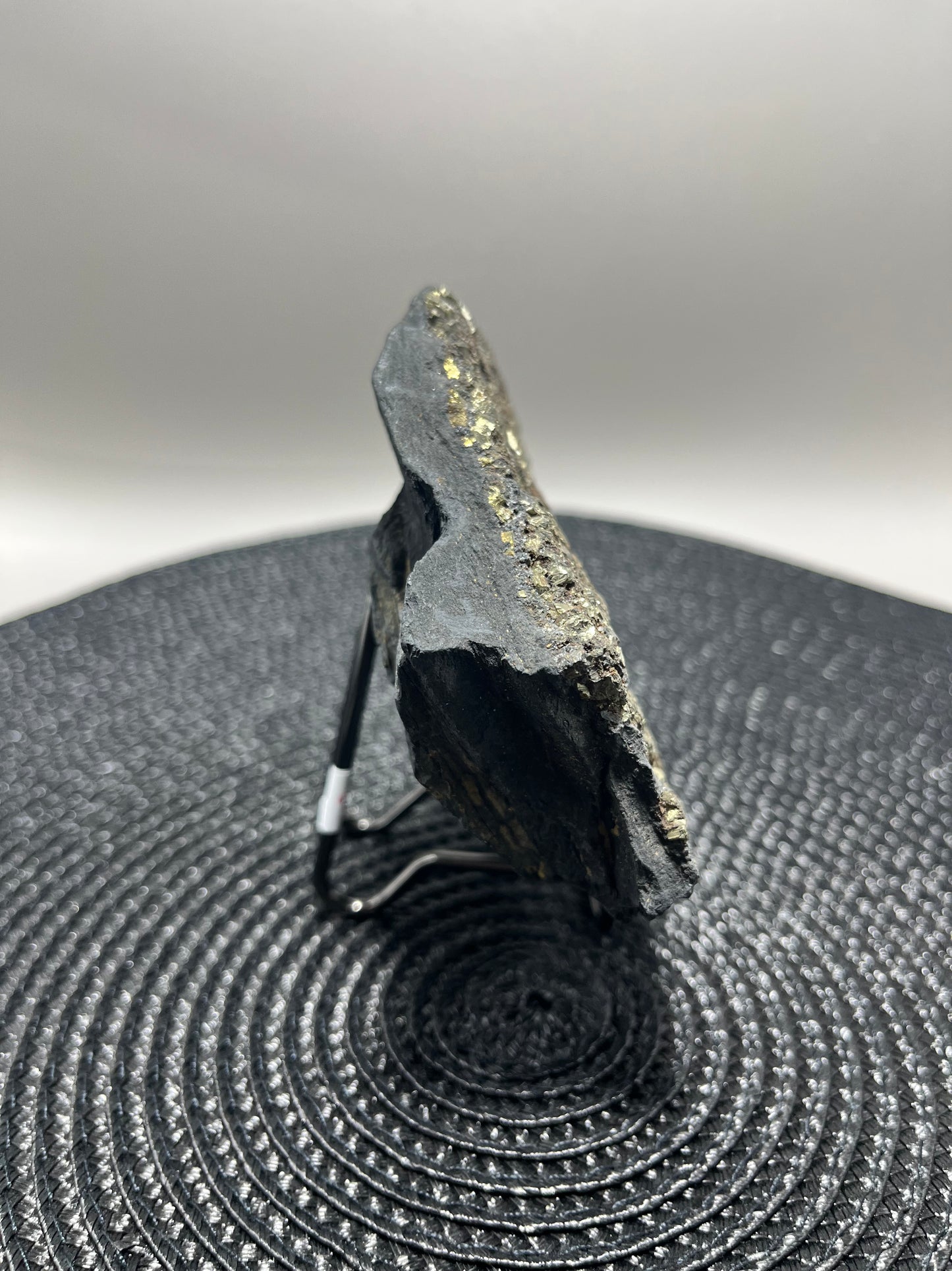 Pyrite on Shungite