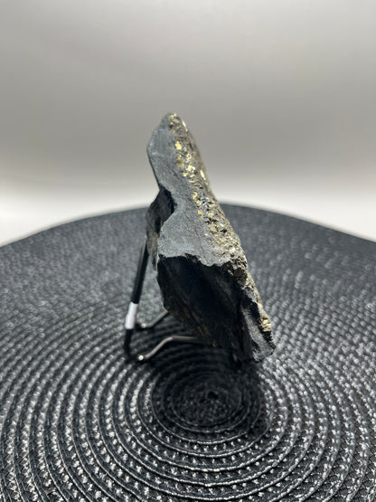Pyrite on Shungite