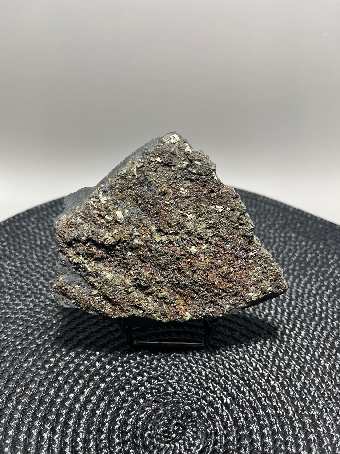 Pyrite on Shungite