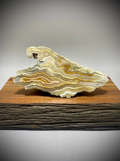 Crazy Lace Agate