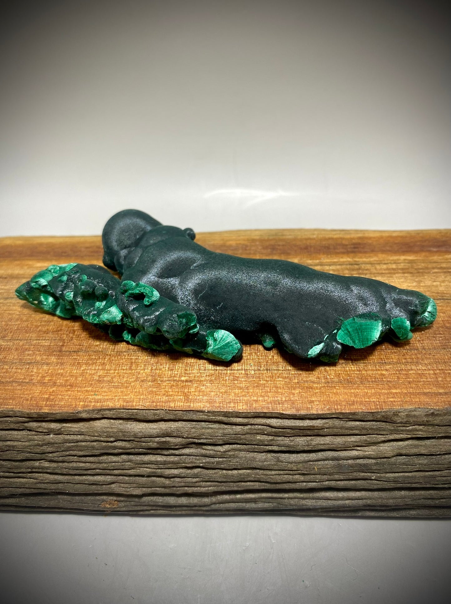 Velvet Malachite