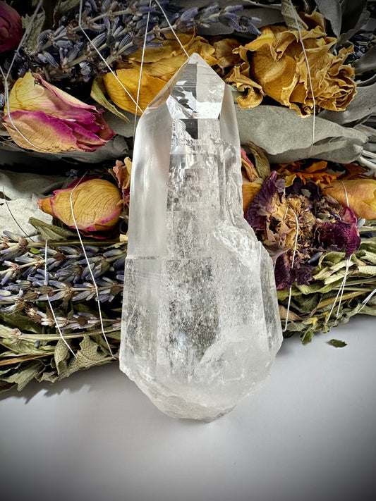 Lemurian Seed Quartz