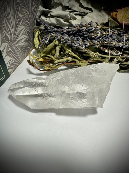 Lemurian Seed Quartz