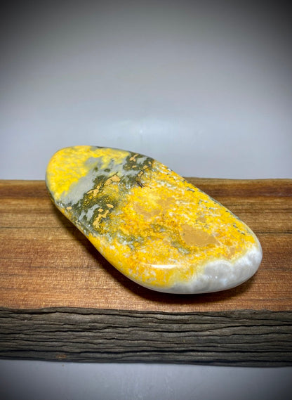 Bumblebee Jasper