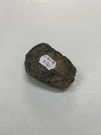 Tribolite