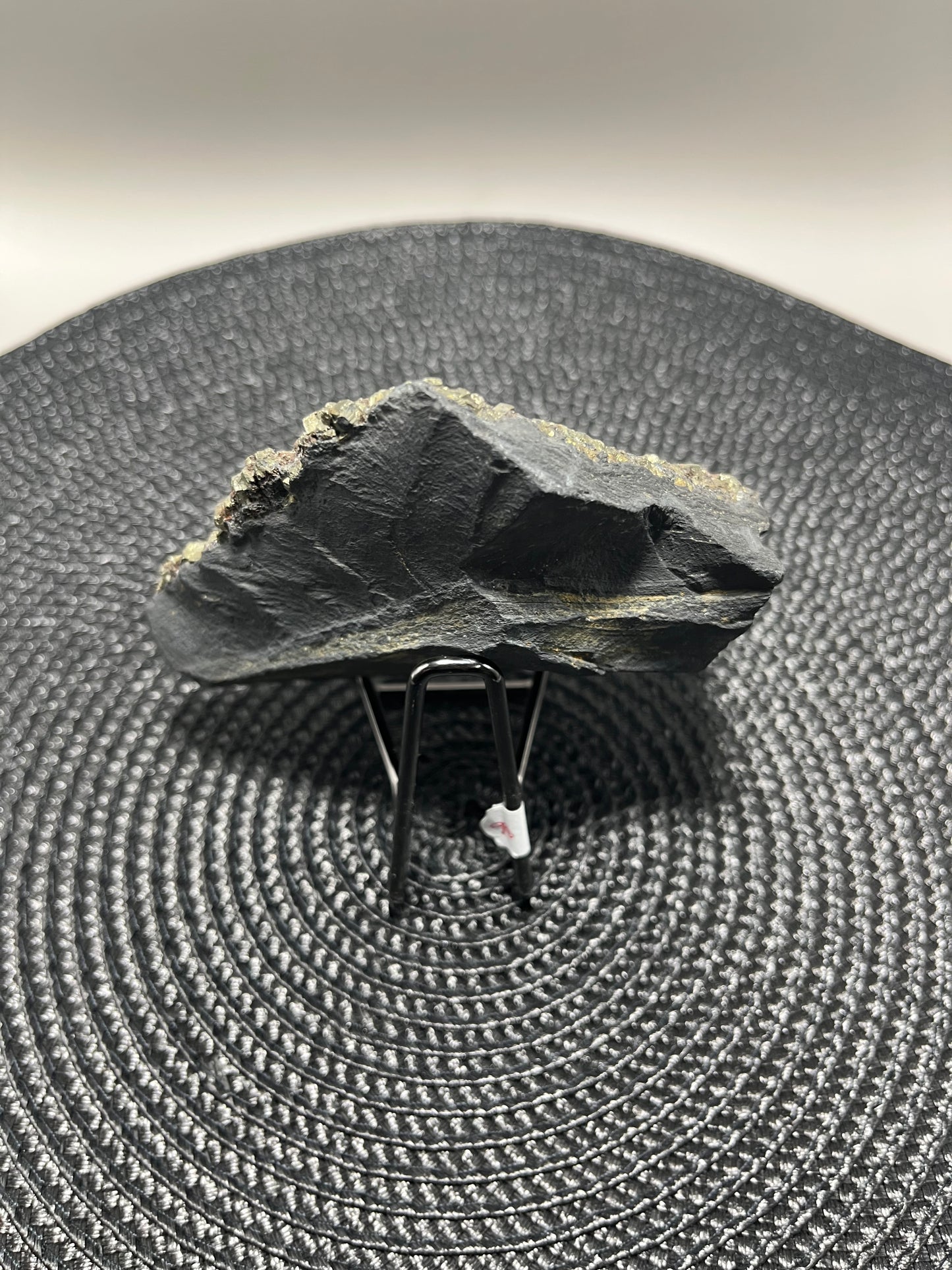 Pyrite on Shungite