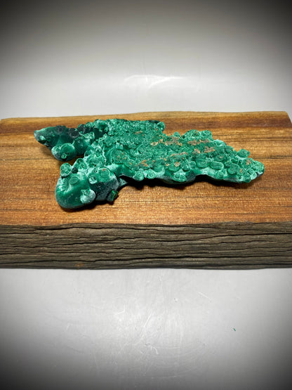 Velvet Malachite