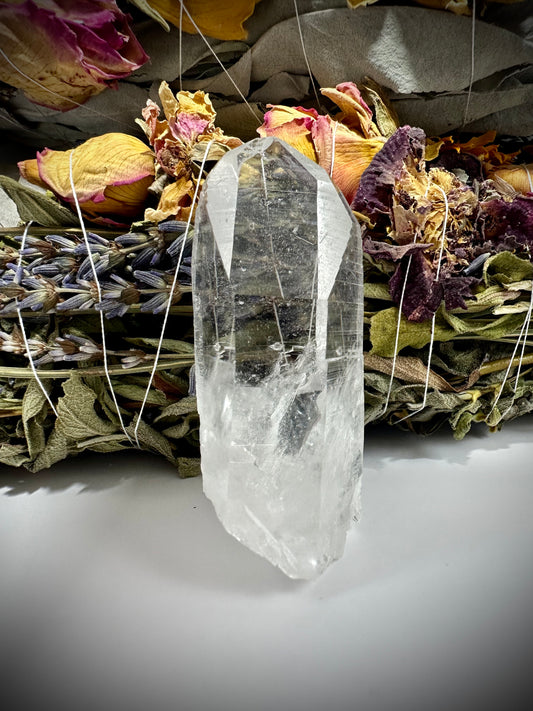 Lemurian Seed Quartz