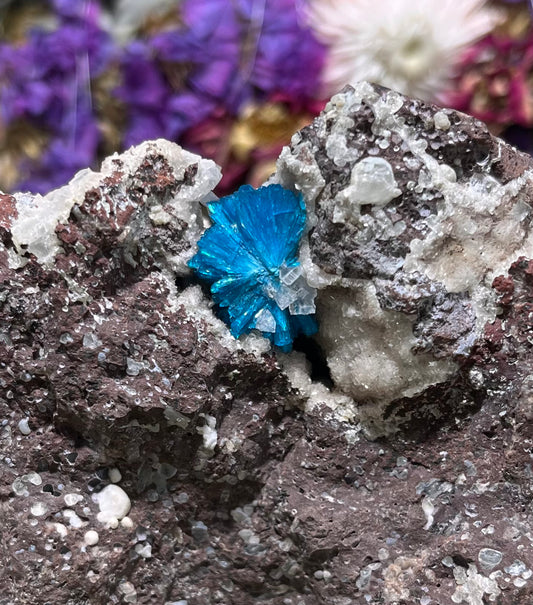 Cavansite Specimen