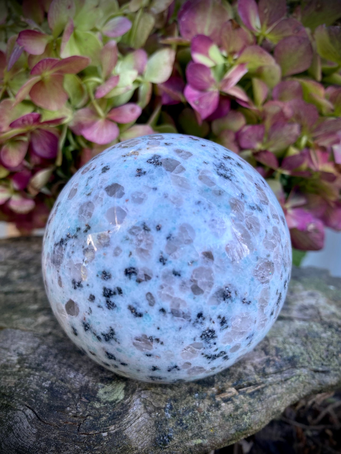 Kiwi Jasper Sphere - Large