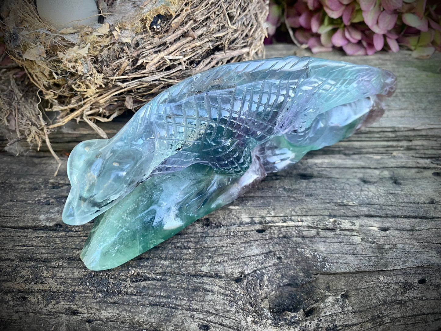 Rainbow Fluorite Carved Lizard