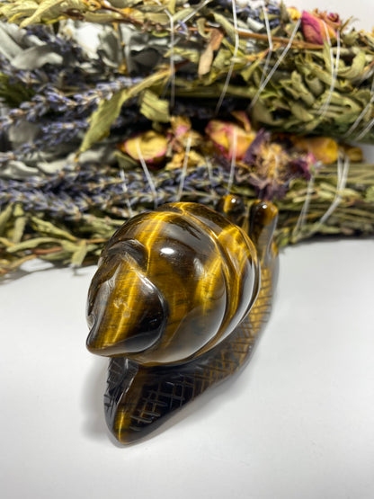 Tigers Eye Snail