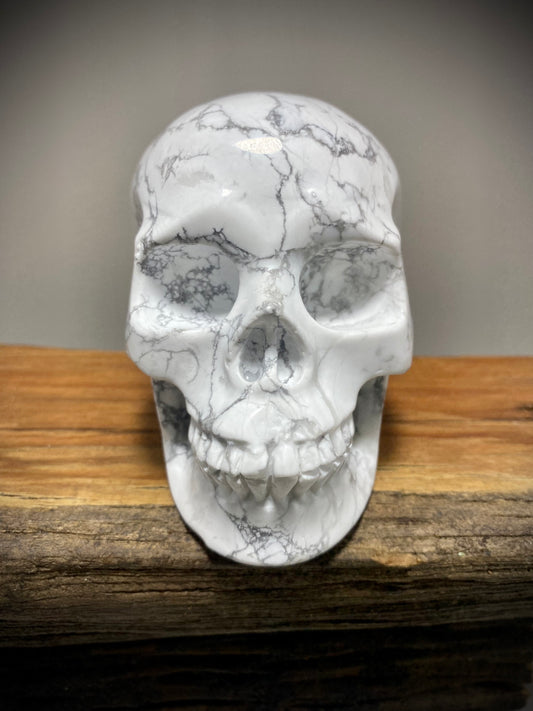 Howlite Skull